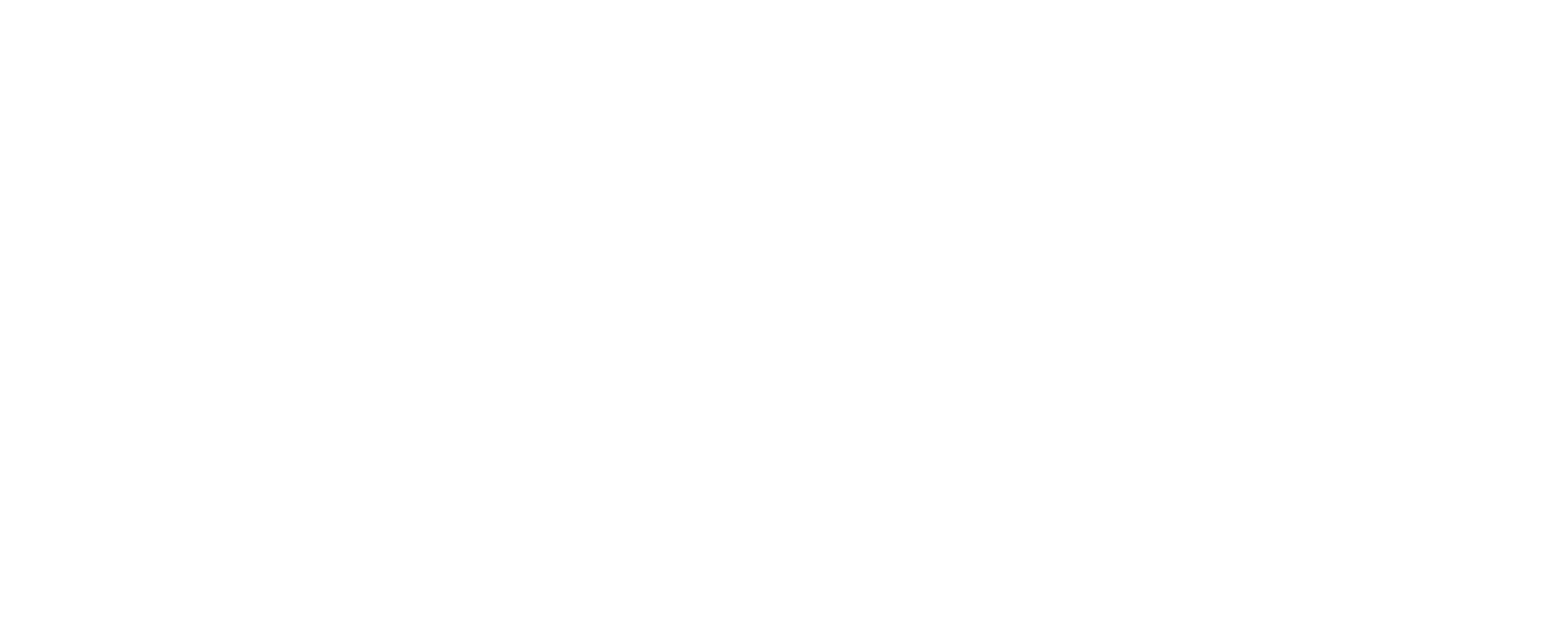 APLION Logo
